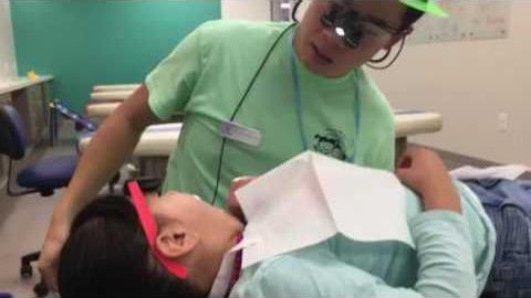 Free Dental Care